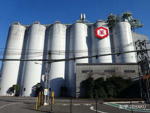 技術開發(fā)日報 前沿動態(tài)與實踐挑戰(zhàn)